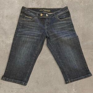Vintage American Eagle "Artist" Capri Jeans - Medium Wash - Size 6 Regular